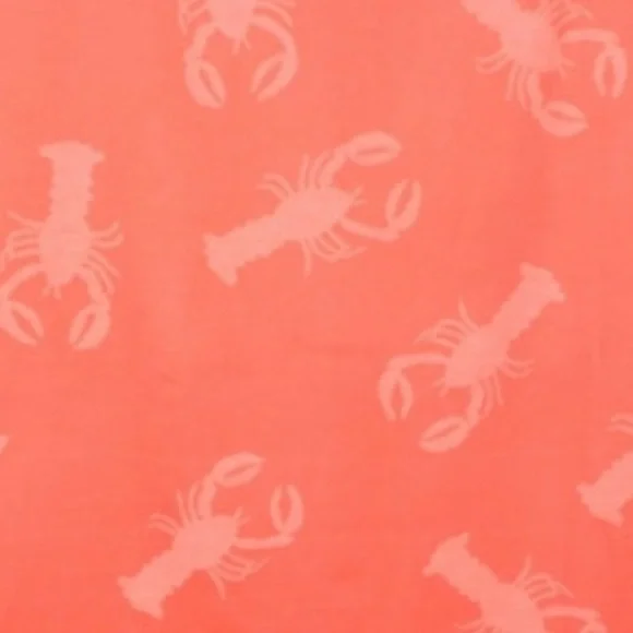 Lobster Louie SET Organic Cotton Blanket Towel 2 Sided + Nap Pillow Cover 🦞 Red - Picture 10 of 14